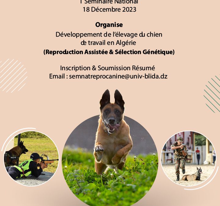 1er séminaire nationnal: Développement de l’élevage du chien de travail en Algérie (Reproduction assistée et sélection génétique)